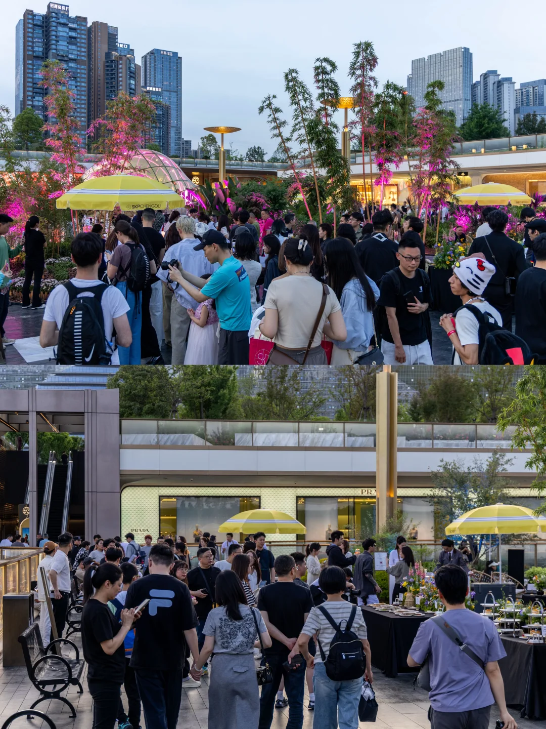 成都人都接到通知了吗？？？好超前！！！