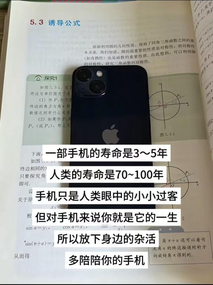 疑似世间真理