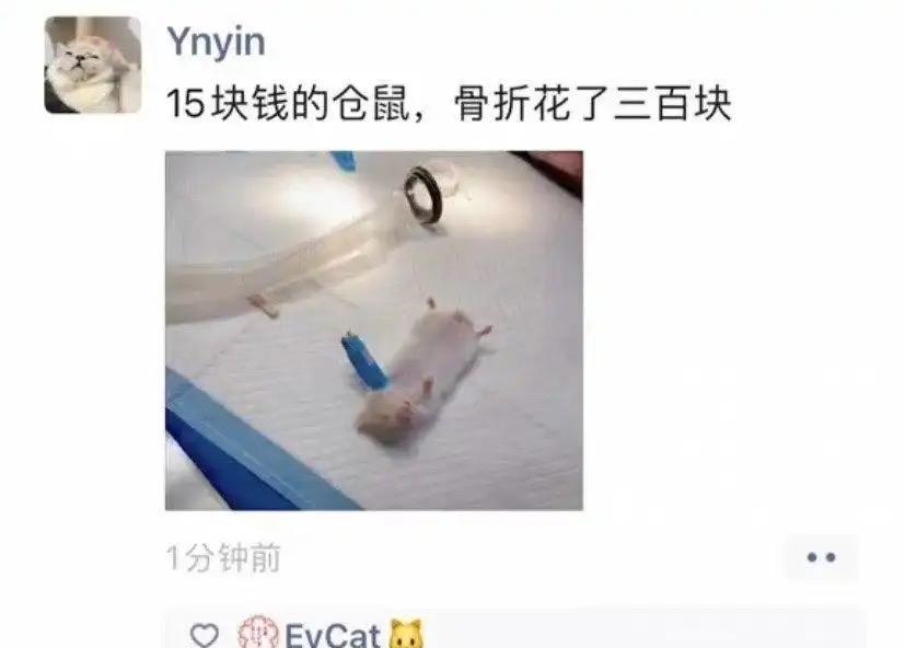 好家伙身价多了20多倍