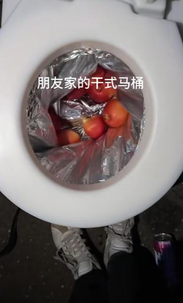 就很离谱！女子去朋友家做客，突然想上厕所，结果却发现，朋友家用的是干式马桶，女子