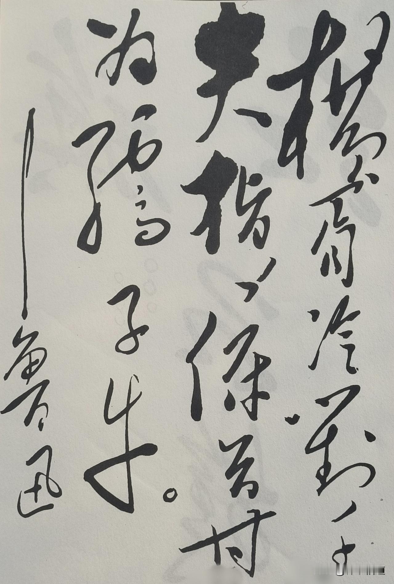 毛主席是推翻腐朽统治的领袖，鲁迅是新文化革命的旗手，他们虽然从未谋面，但在思想上
