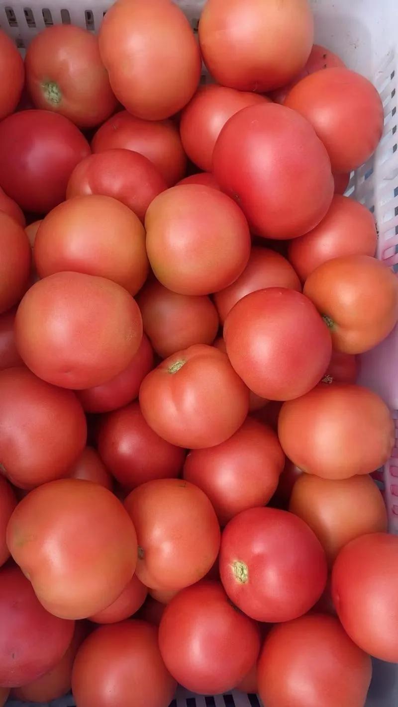 终于弄明白了！为什么现在越来越多人都在说“菜没菜味，肉没肉味”？不是我们的嘴变刁