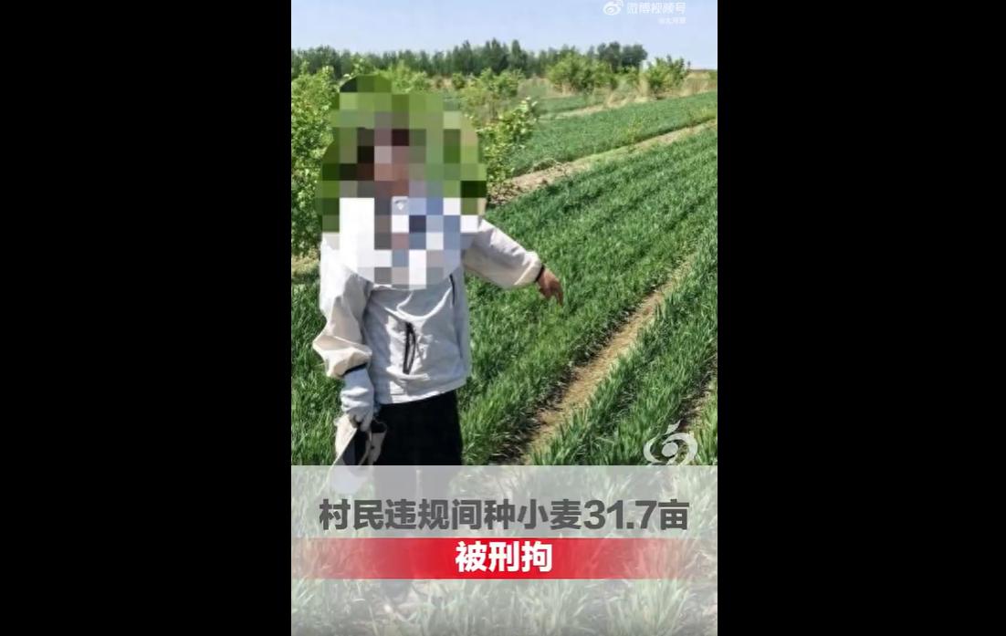 近日，内蒙古通辽村民王某某，未经官方审批，私自将自家承包的31.7亩林地深翻整改