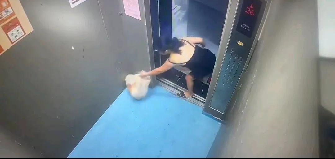某小区的电梯又坏了，业主气的开始骂物业。物业也感觉冤屈，刚修好，又坏了，他们也