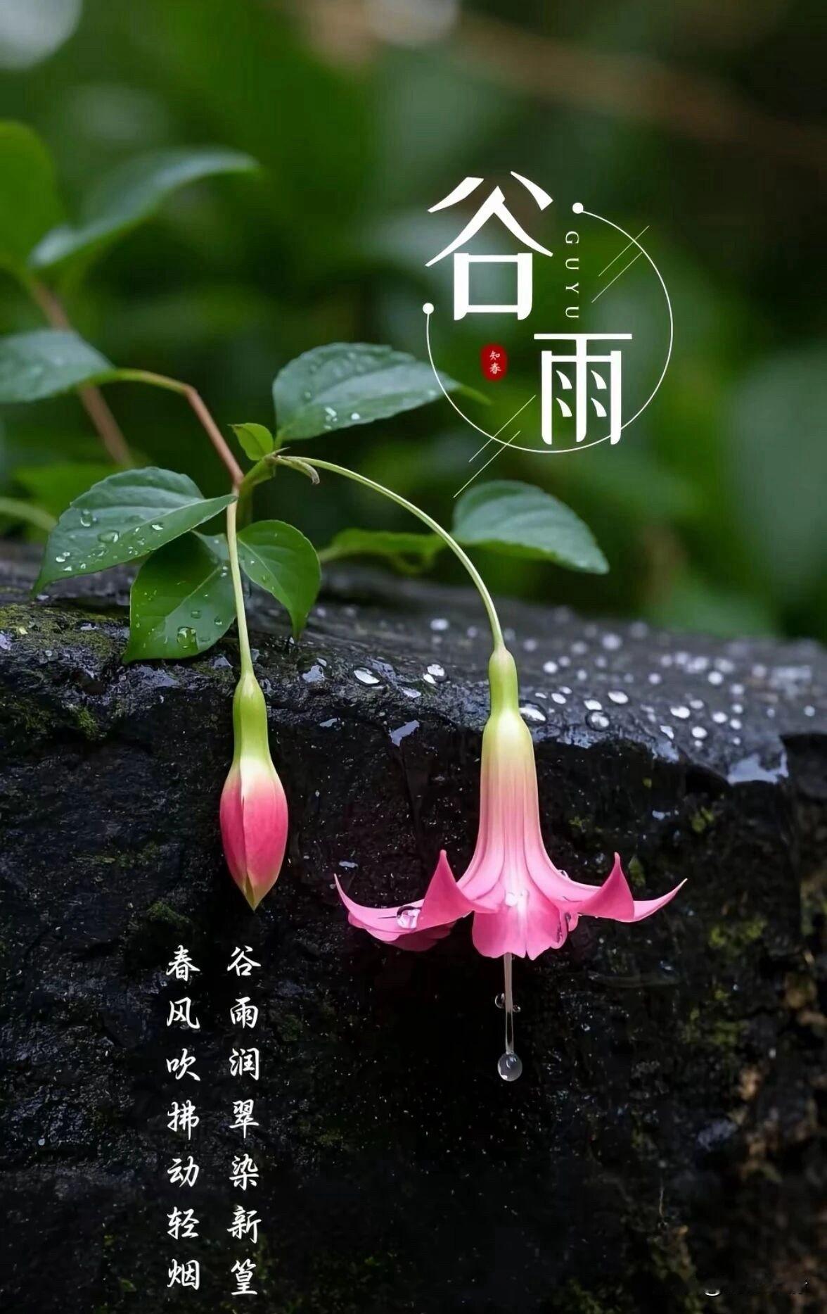 🍎²⁰²⁶/₀₄.₂₀🧨ᵕ̈🐎🍃🌻🍒🍡🍃𝐌𝐨𝐫𝐧