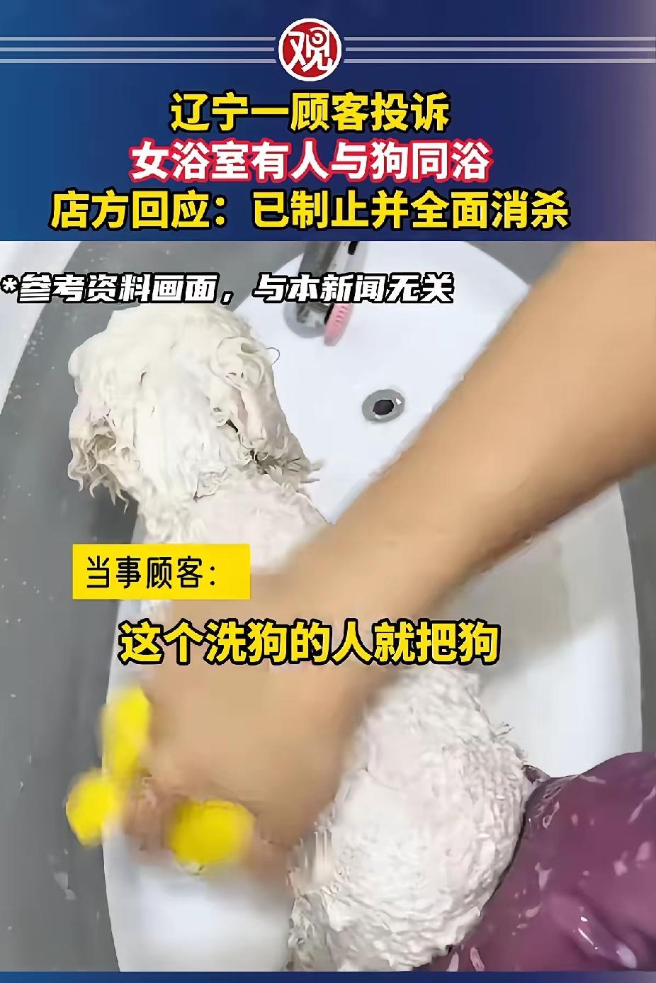 丹东洗浴中心惊现人狗共浴，警方介入调解，商家喊冤：客人用浴筐带入没发现，发现后进