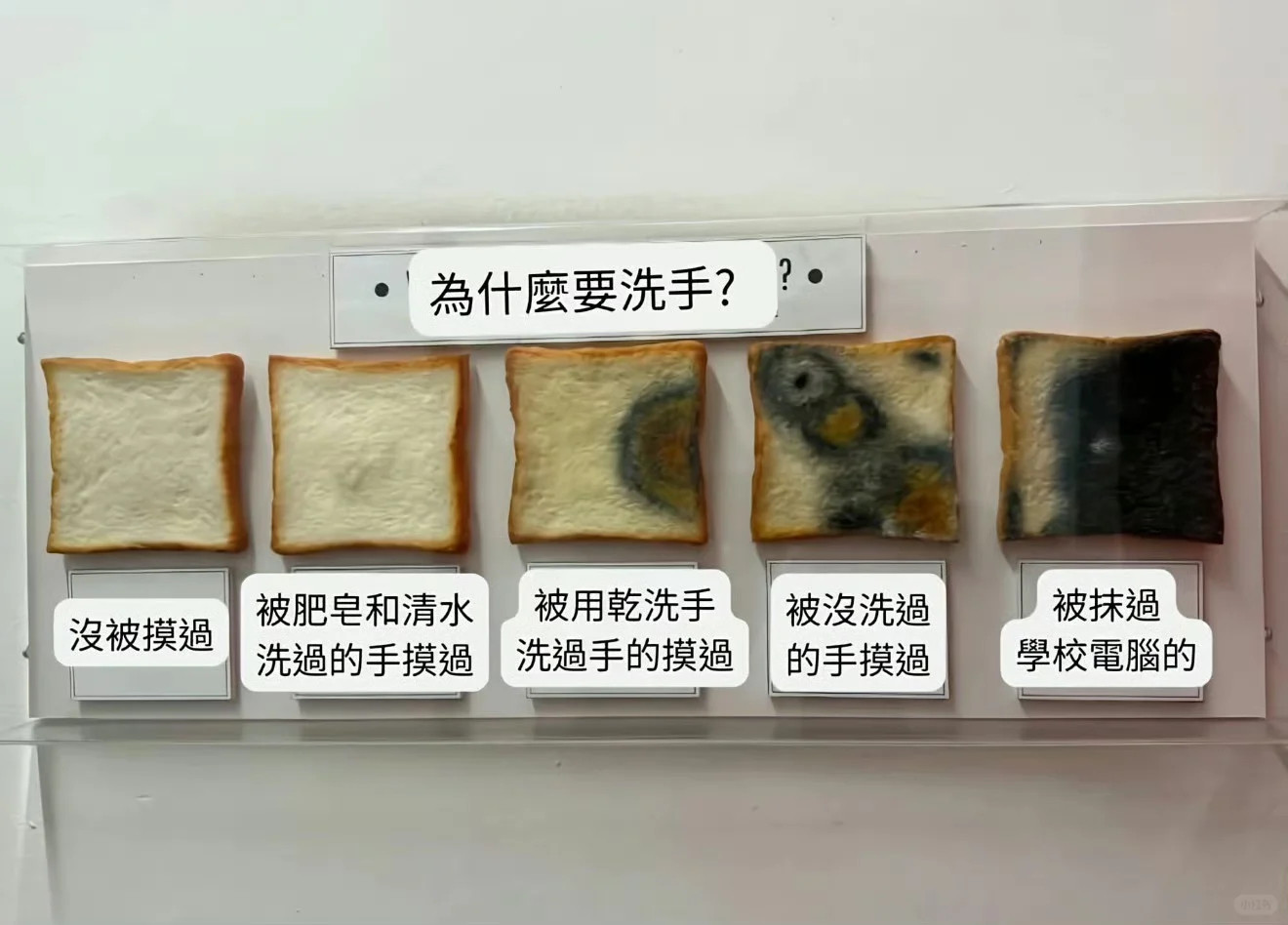 一张图，但太震撼了，我一定要加强洗手