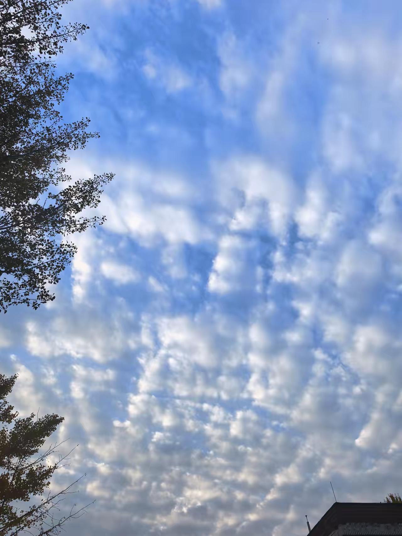 看了段永平的访谈，理性的思考一下，茅台目前的价值被低估了。茅台作为消费品也好，作
