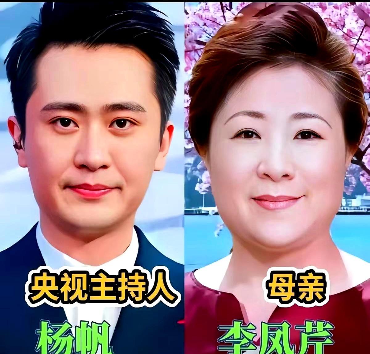 康辉母亲那张“国泰民安脸”，原来藏着央视主播的终极密码。你发现没？央视主播的