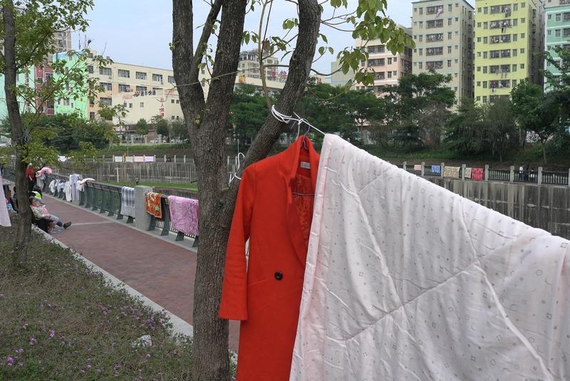 中国小孩对晒被子这事，那执念深到离谱。小时候，只要天气好，总盼着家里晒被子。晒完