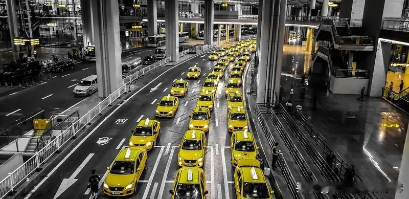 昨天从火车站打车回家，下车时忘了拿行李。幸好我拿了出租车发票，拍给豆包后，它告诉