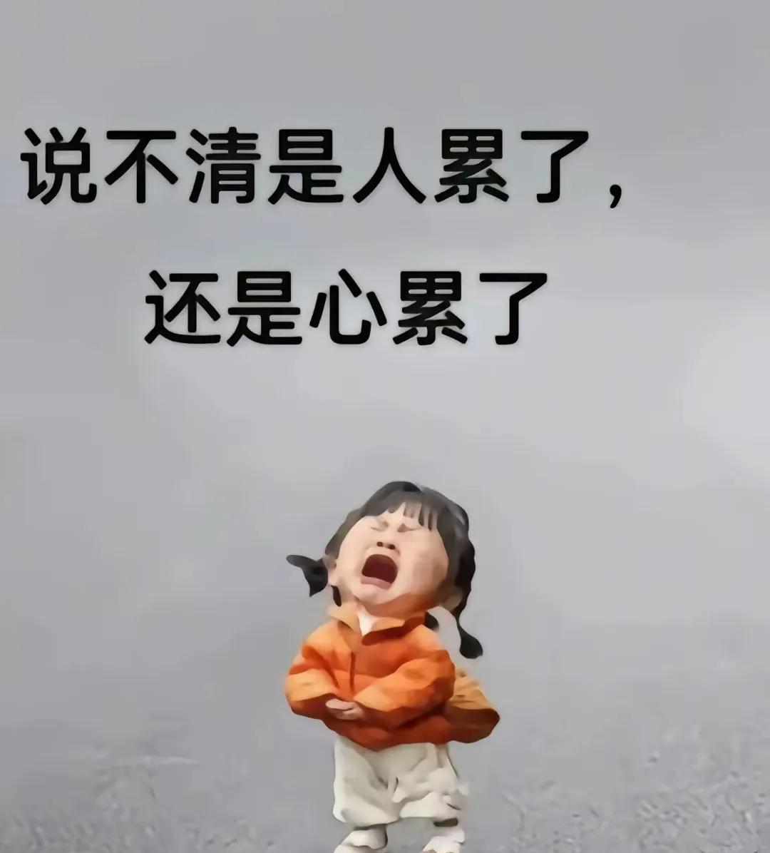 人家孩子是一个假期学习补课太累了，暑假家长会抽空带孩子出去旅旅游，放松一下。我们
