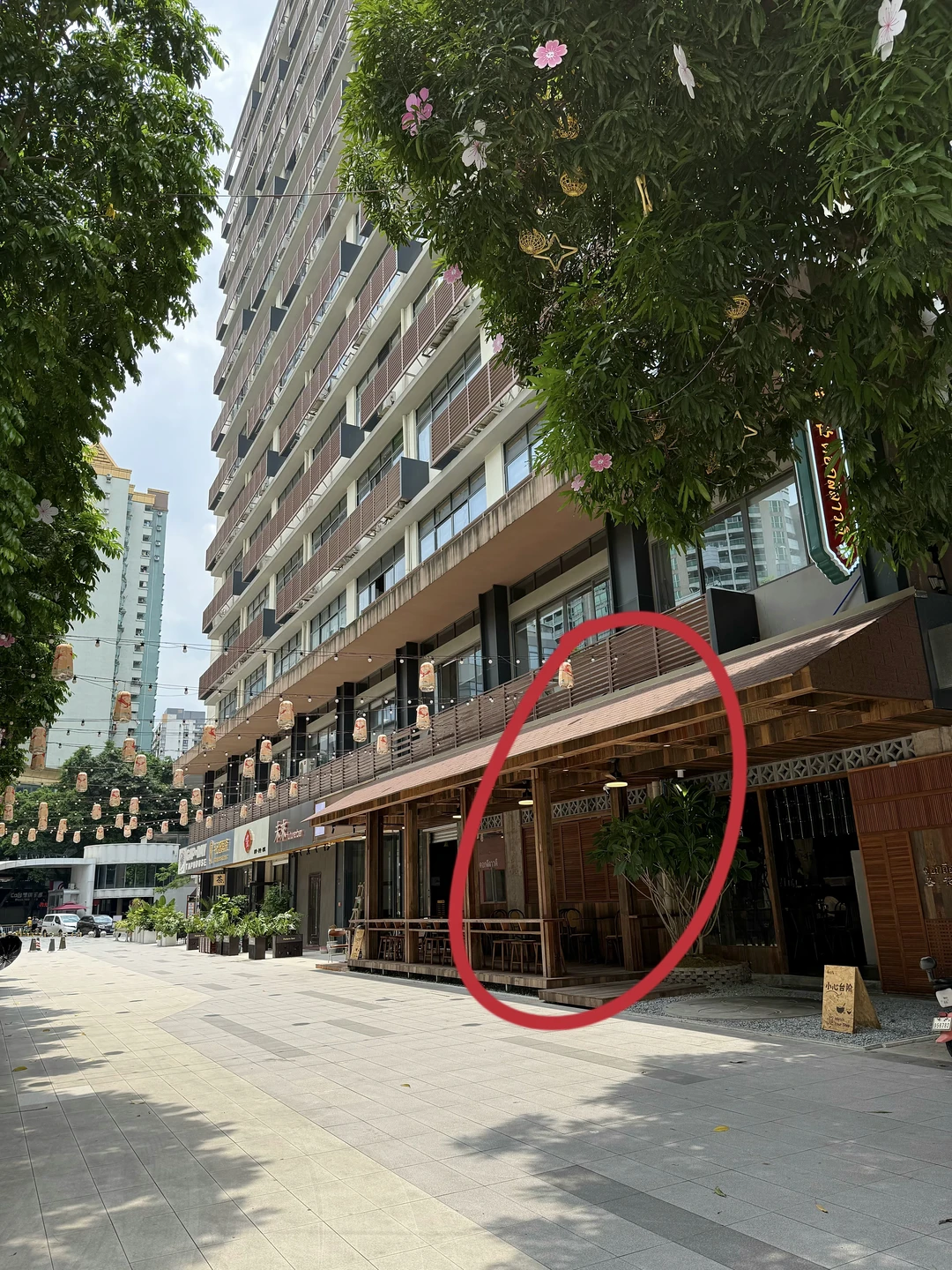 啊市桥真的开了！！！！！