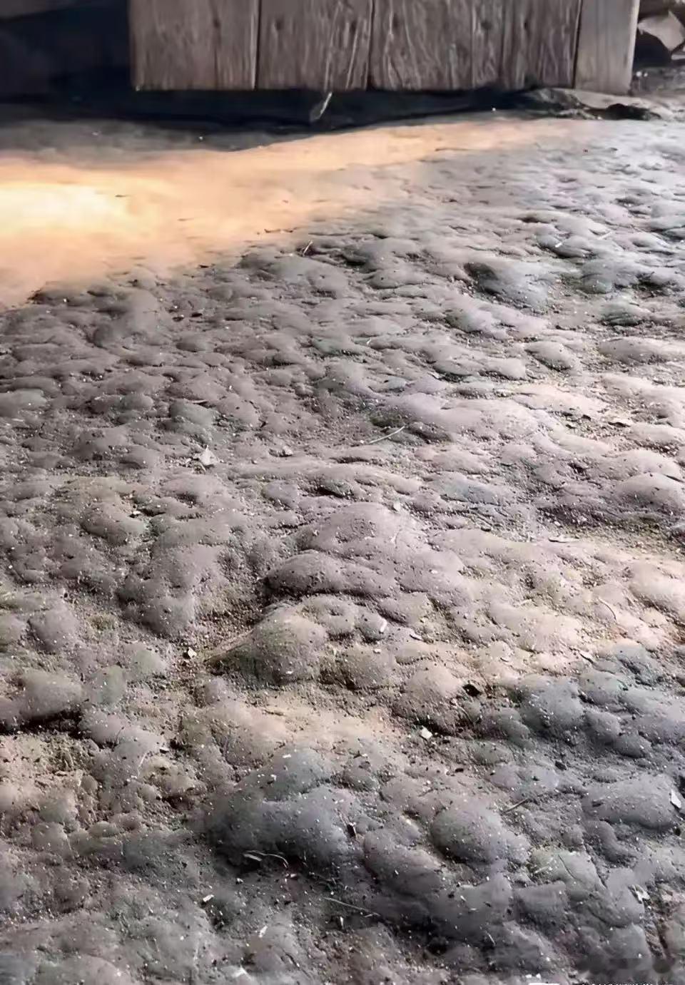 谁家的地板是这样的？？？你们见过吗