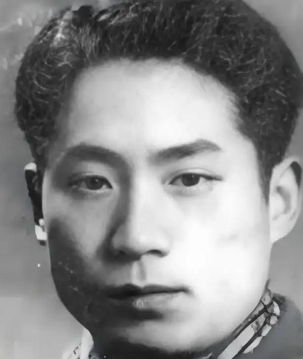 1948年，李维嘉不知特务在阁楼等候，正往回走时，隔壁十二岁小姑娘死死盯住他，悄