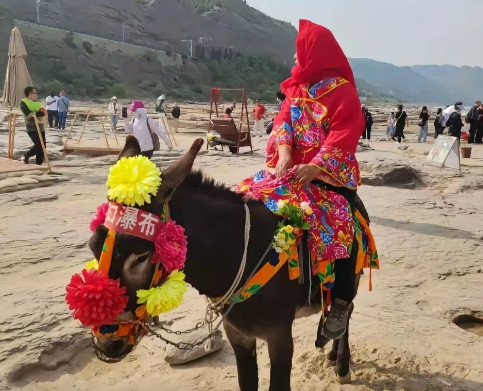 驴比驴，气死驴！山西壶口瀑布旅游景区的这头驴，干了一件惊天动地的事情！惊