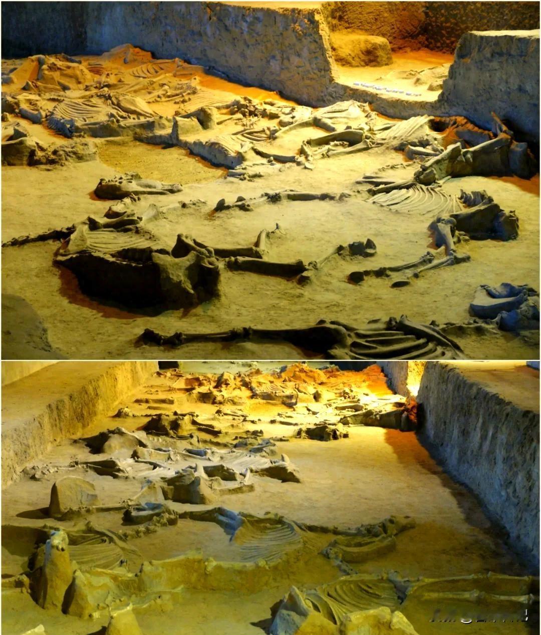 33厘米玉璋惊现黄河边，谁挖出了西周王族的秘密？老话说，地下埋的不光是黄土，