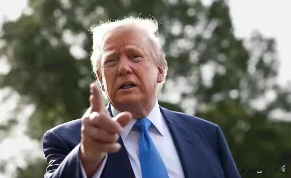 89%的人后悔了。乌克兰人哭着求前总统回来，但已经晚了。这是2026年刚出的