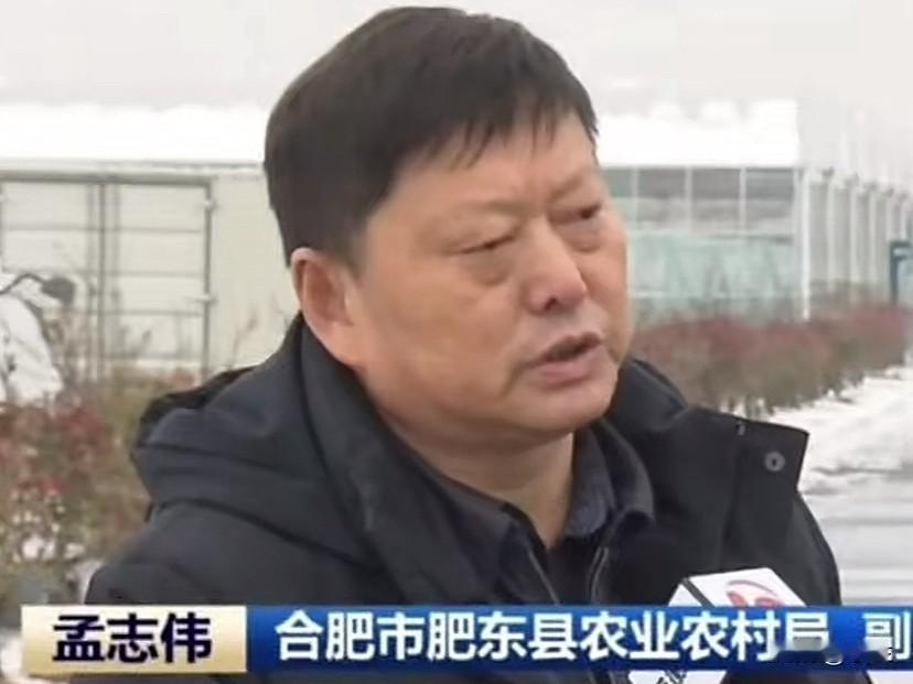 今天安徽的孟志伟上了热搜他是1968年出生的安徽肥东人他在农业行业工作了几十