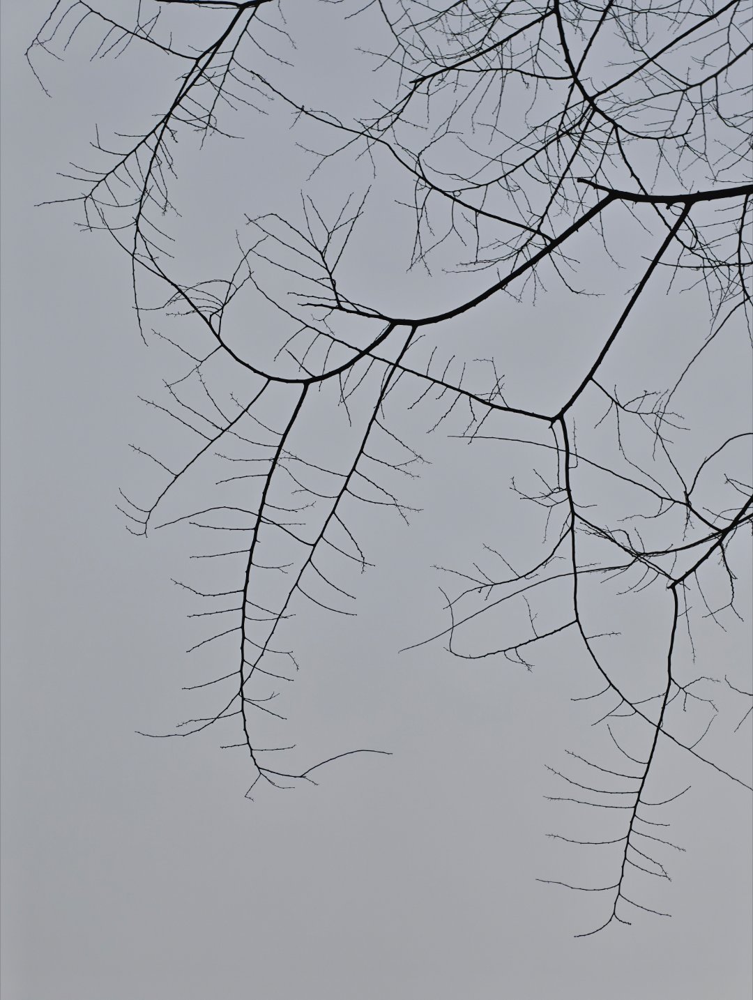 你们猜哪个是眼前看到的。