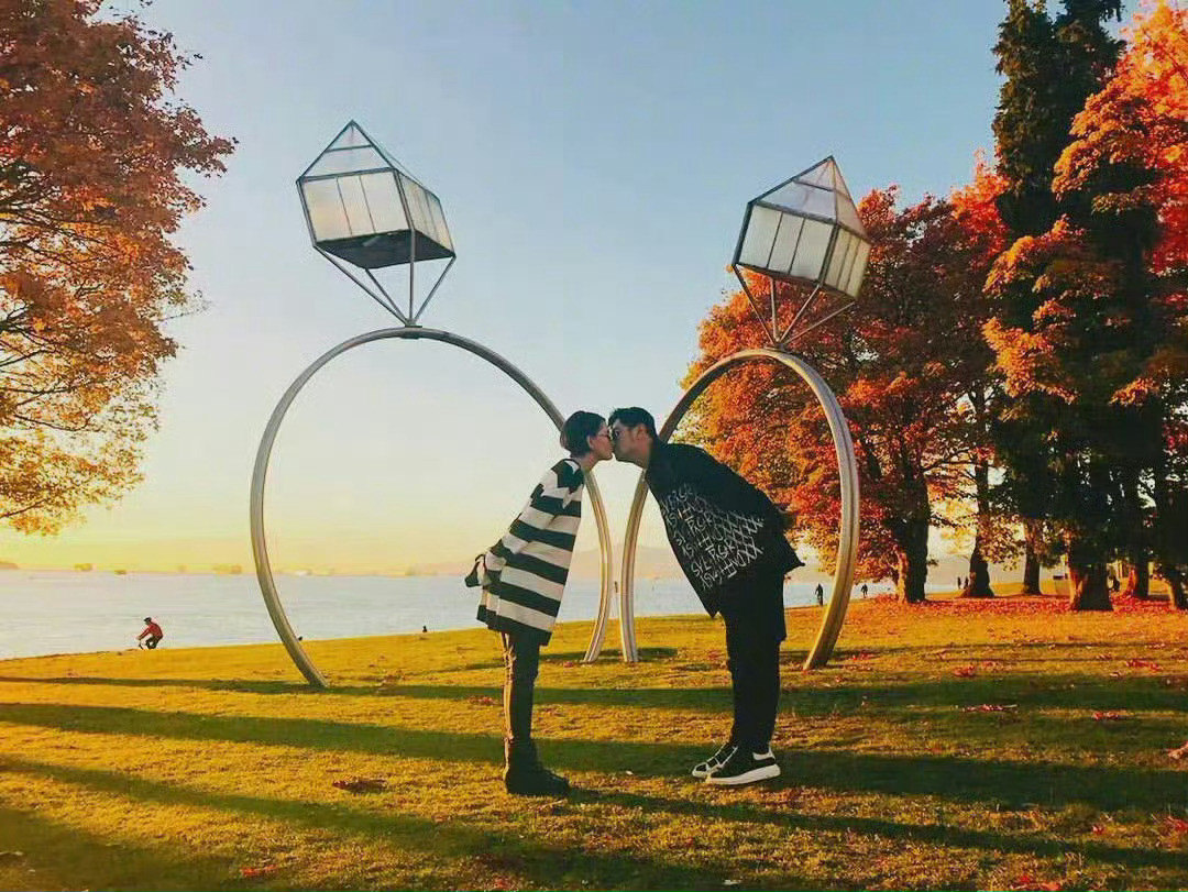 情人节的狗粮不会缺席