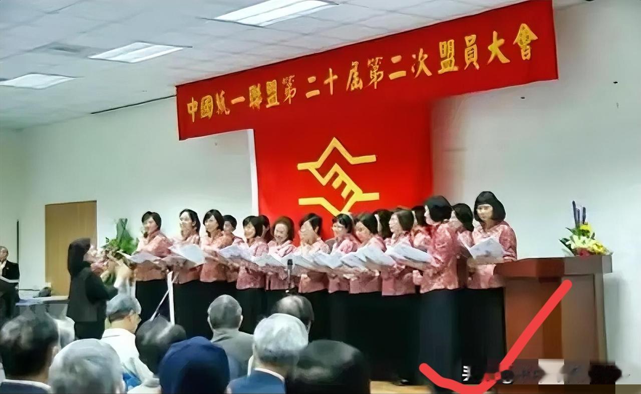 看台湾光复纪念大会的受邀名单时，我突然发现个关键信息——原来台湾有个实实在在推进