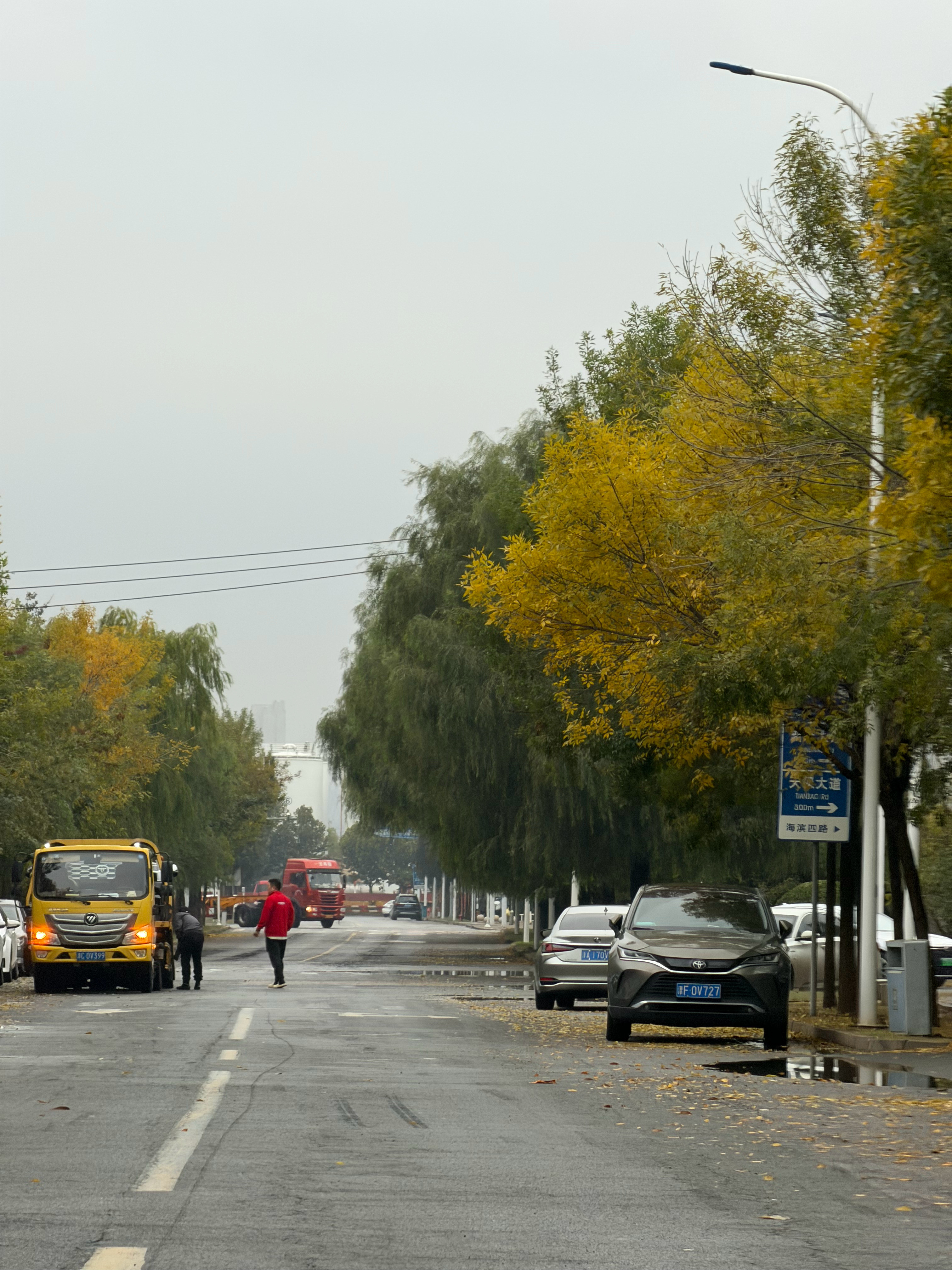 仿佛是一瞬间，叶子都黄了[大笑]​​​