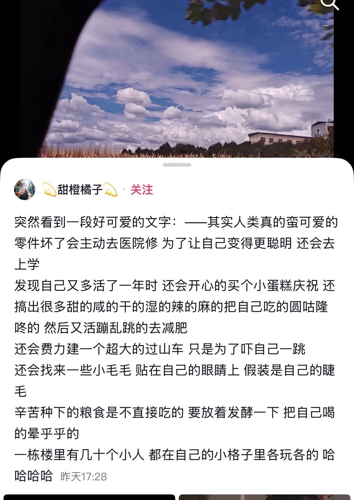 这个文字的描述好可爱啊