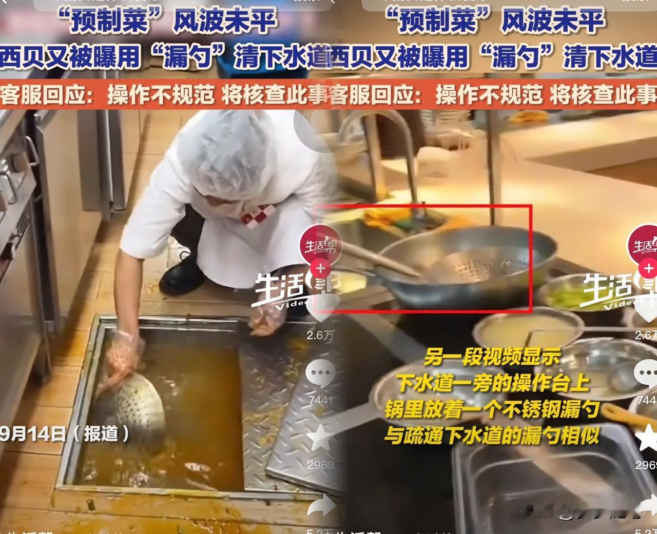 我敢打赌，西贝的公关总监，今天血压绝对飙到180了。贾国龙估计肠子都悔青了，