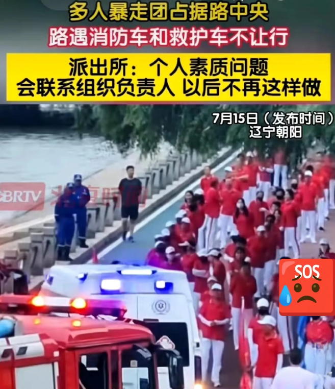 辽宁朝阳暴走团的团长现在估计肠子都悔青了。他怎么也不会想到自己在景区里耍的那些