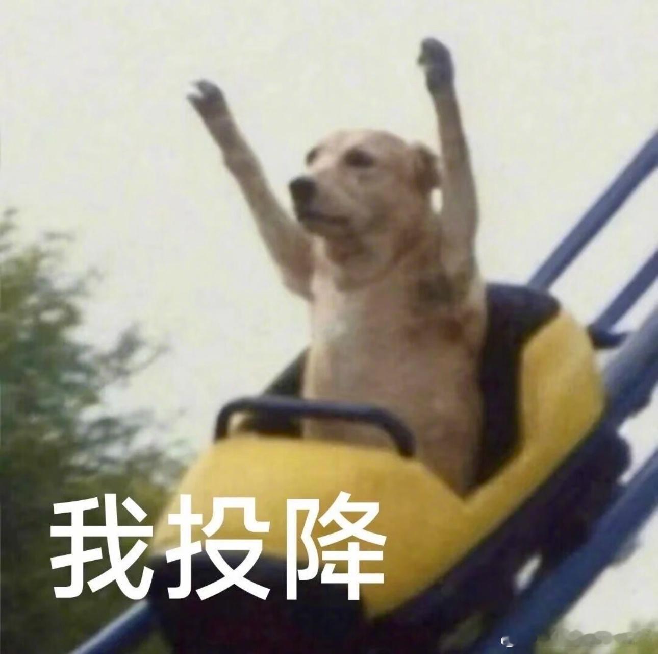 十二星座选择困难指数：TOP1天秤：中午吃啥能想两小时TOP2双鱼：选项越多