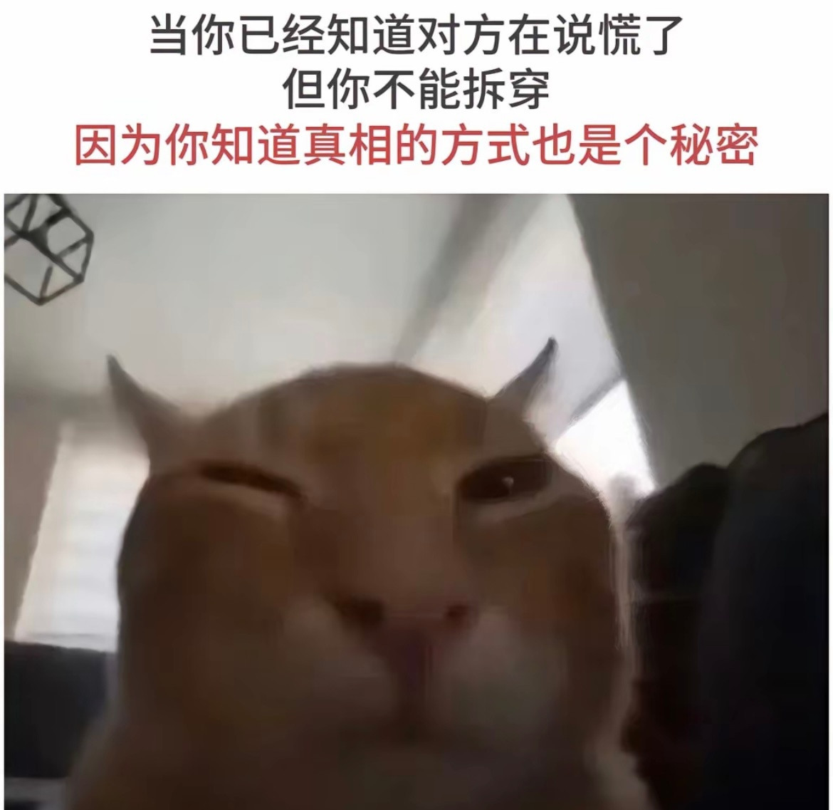 当你发现是个秘密时