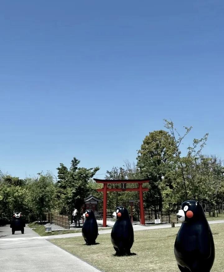 日职乙：秋田蓝闪电-熊本深红蓝闪电的大麻烦要来了，这场比赛前队内头号球星小松莲