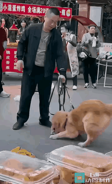 没有一个是真正的爱狗人！在一个人流量比较大的夜市里，有一只没拴绳的小狗挑衅栓绳的