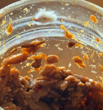 张馨予吃完才发现蘑菇酱长毛了张馨予吃了长毛的蘑菇酱张馨予吃了长毛的蘑菇酱，定要