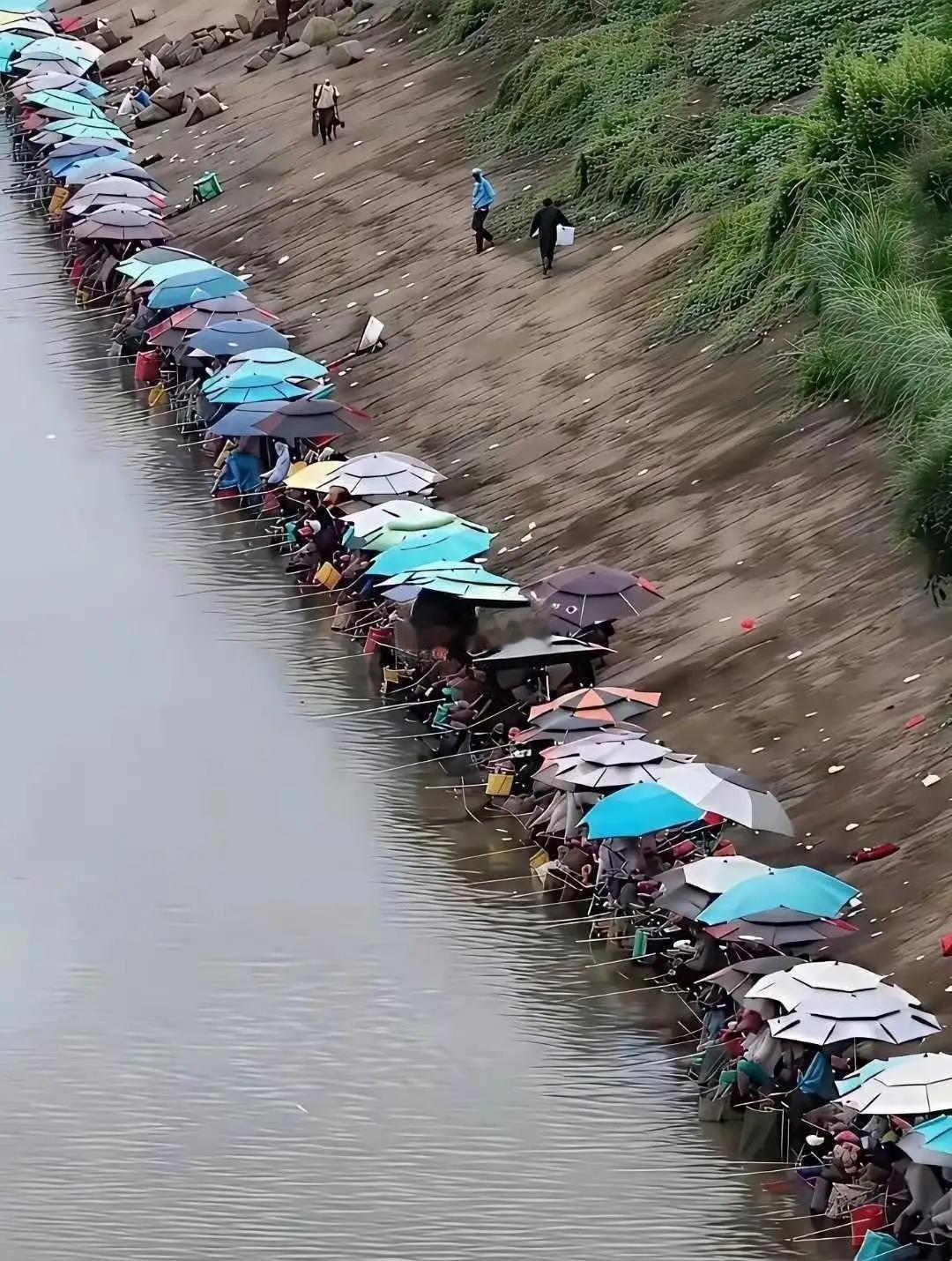 才发现，有钱有闲的人原来这么多