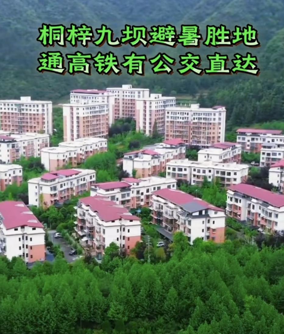 重庆正式开启蒸笼模式，气温一路向着40℃大关冲刺，潮湿闷热的桑拿天让整座城市化身