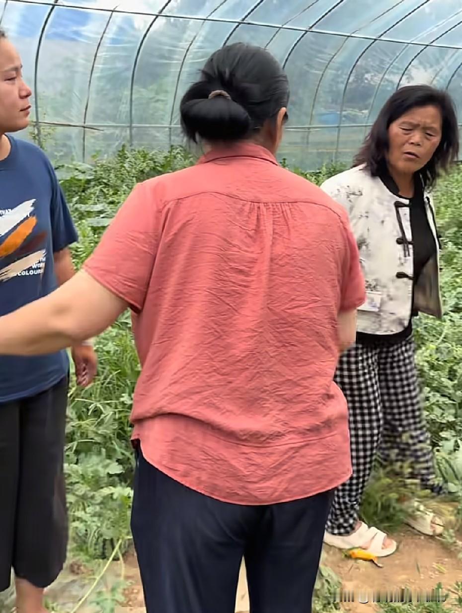 小故事！又出大事了！昨天李佳的钱被她养母要走了，今天辛辛苦苦种