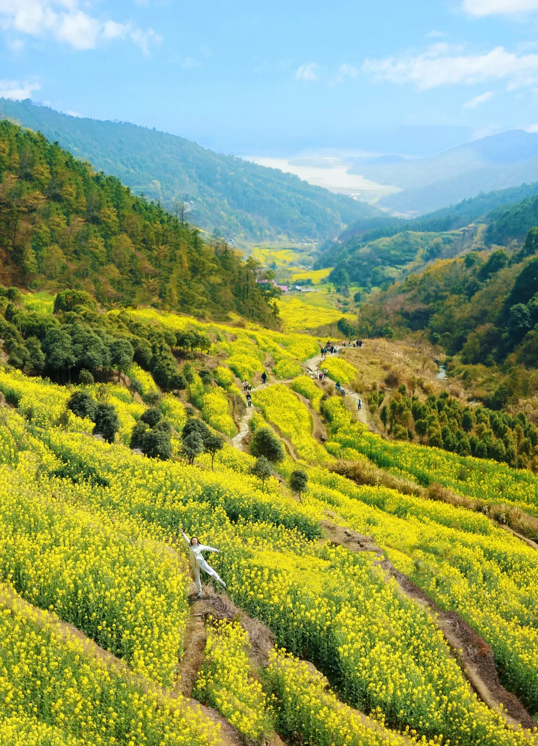 牛岭油菜花梯田拍照点位徒步路线挖野菜攻略