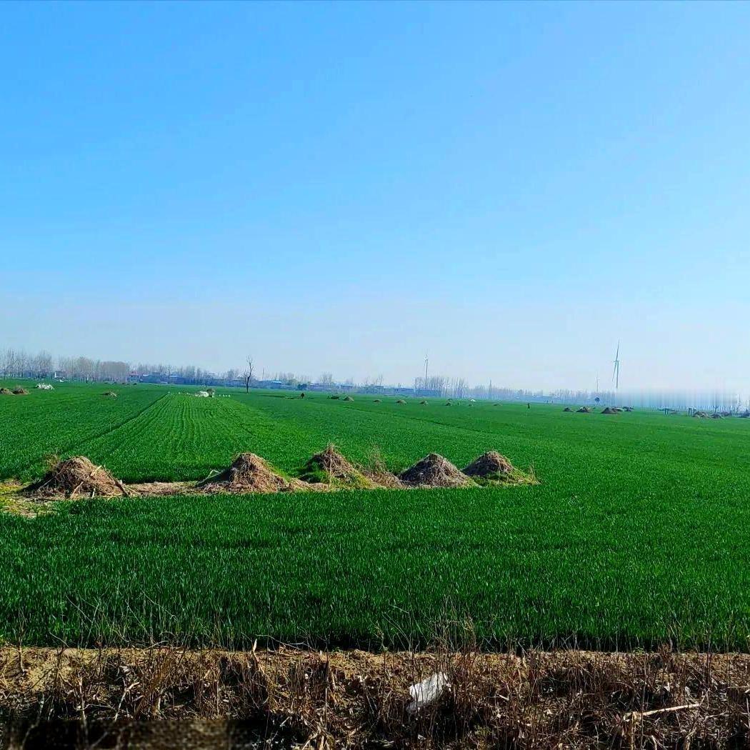 新的殡葬制度要来了2026殡葬新规3月施行！估计很多人接受不了，打破了很多人