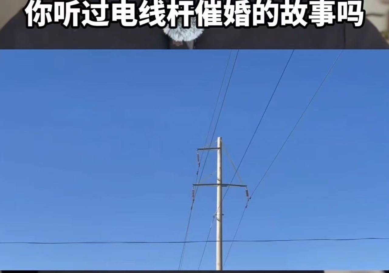 这个段子让人笑发财了！你听过电线杆催婚的故事吗？父亲觉得儿子单身的原因是因为家门