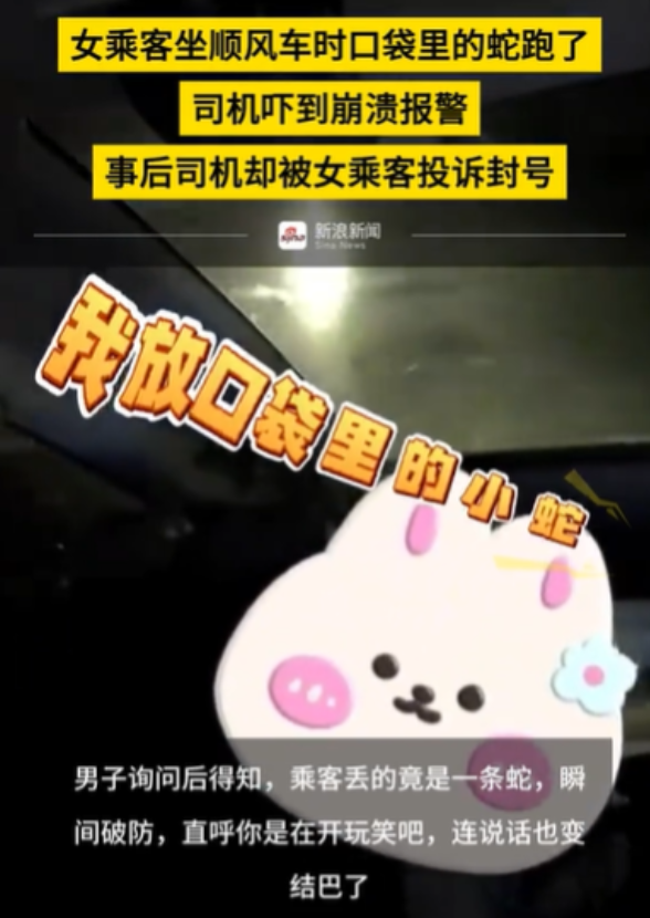 天津，顺风车司机开车到半路，车上的女乘客突然让他停车，说她那1米长的小蛇不见了，