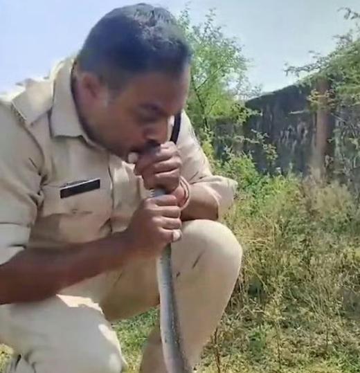 印度一边立案对中方化工品调查，一边逼中方出口尿素，连美网友都看不下去了！3月