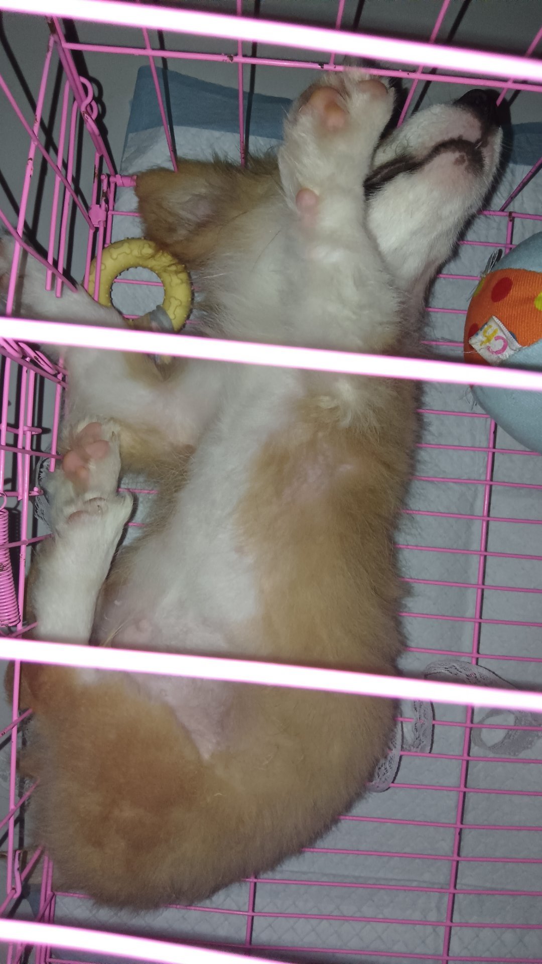 笑死我了这个姿势