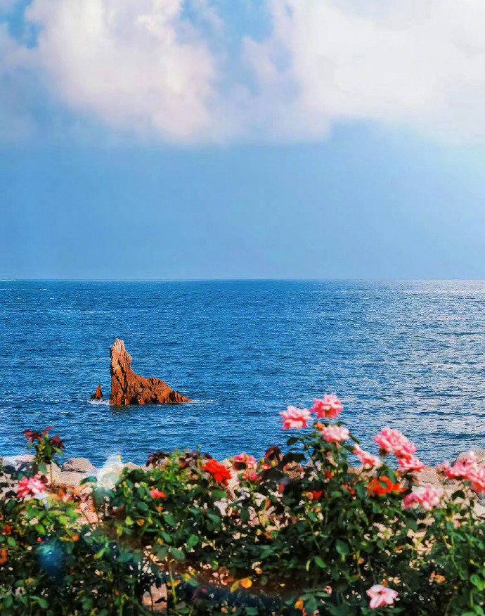 岁月清浅，花草温柔，大海浪漫，人间值得。