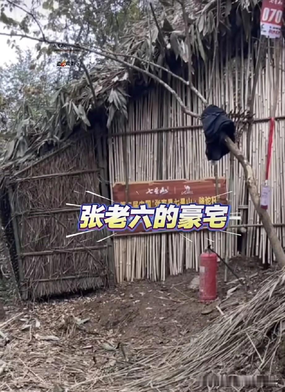 荒野求生张老六一把刀建设房子了!看荒野求生赛笑喷了——别人还在钻木取火，7