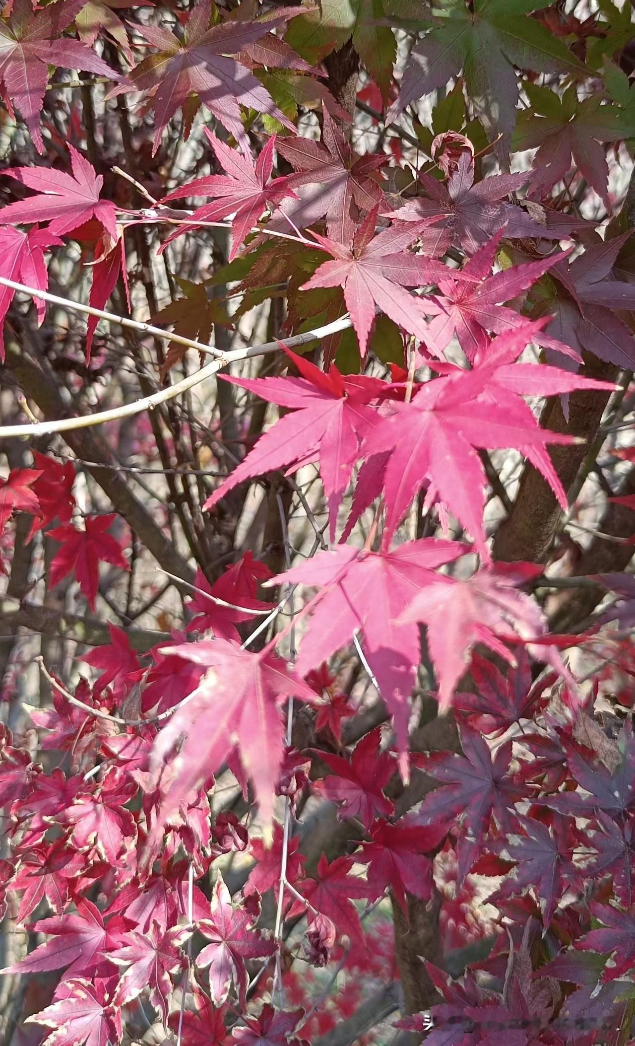 今天被同事的一句话，刺激到了结婚六年的同事离婚了，原因是他老婆把心思放在孩子和