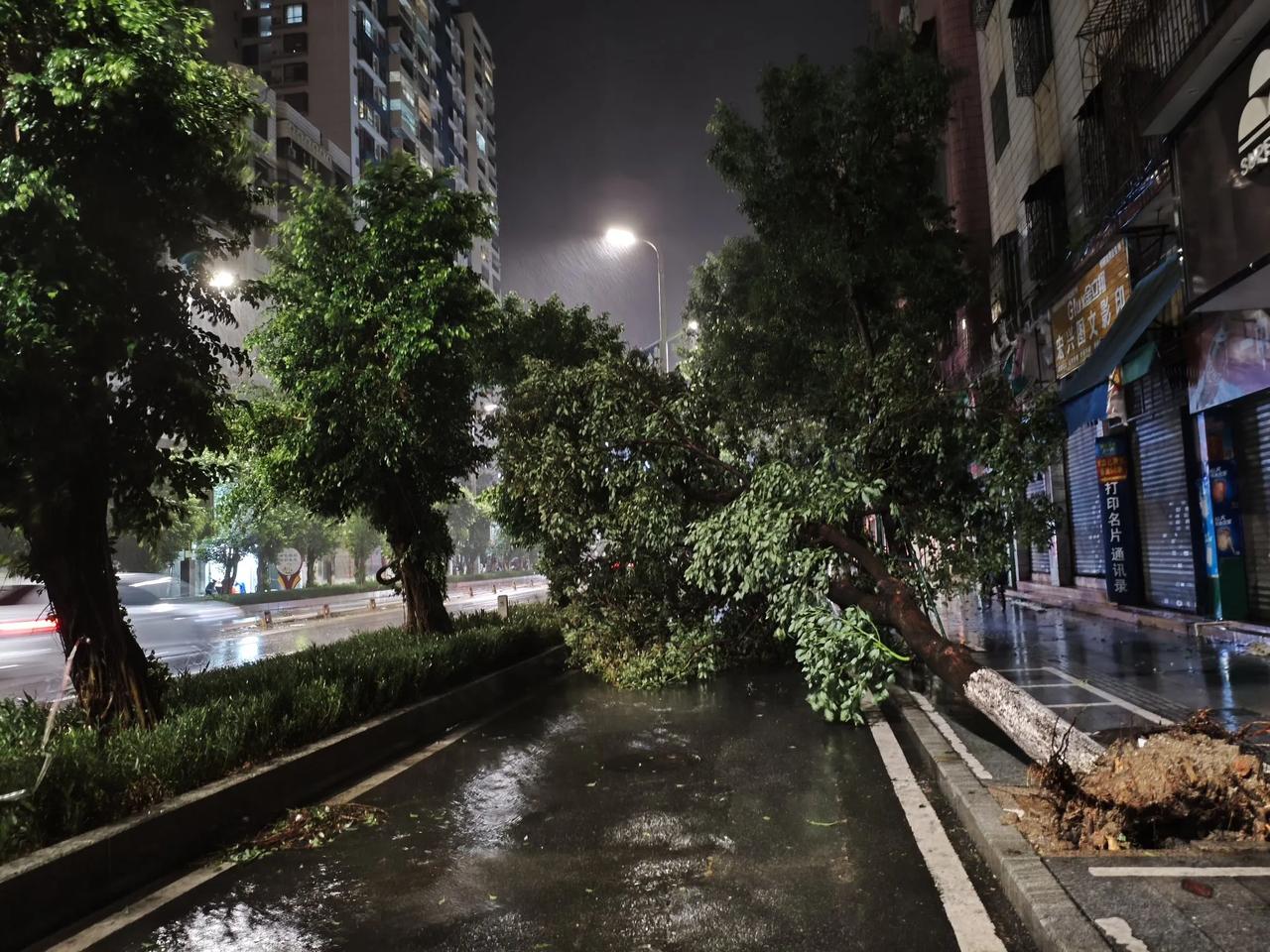 台风麦德姆于10月5号下午在湛江雷州半岛地区登陆，中心风力最大约15级左右。虽然