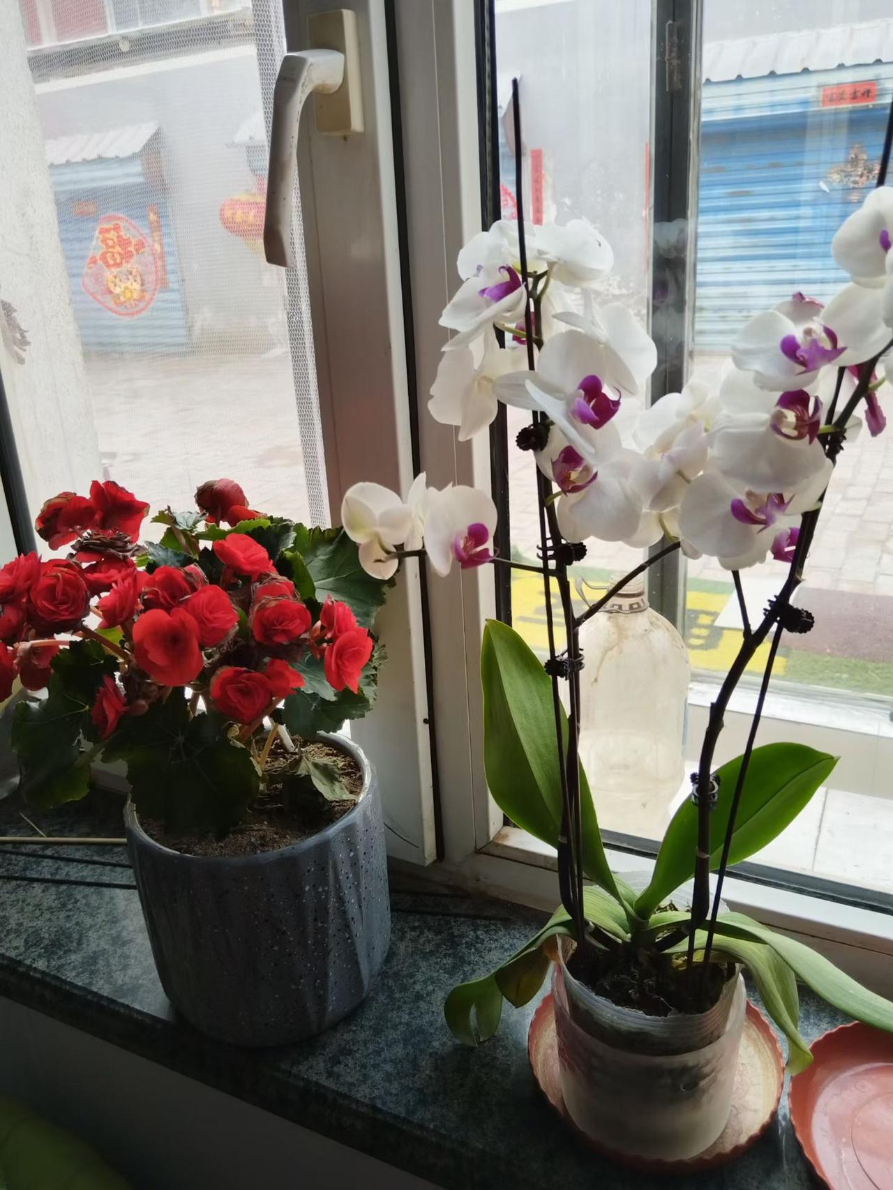 从正月初一开始，忙碌了一整年的生活终于慢下来，家家户户都沉浸在过年的喜庆里。