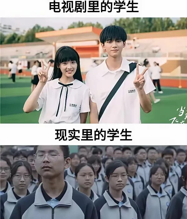 这头发风格挺新颖😉